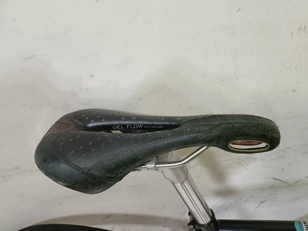 Bianchi Pista classica fixed gear