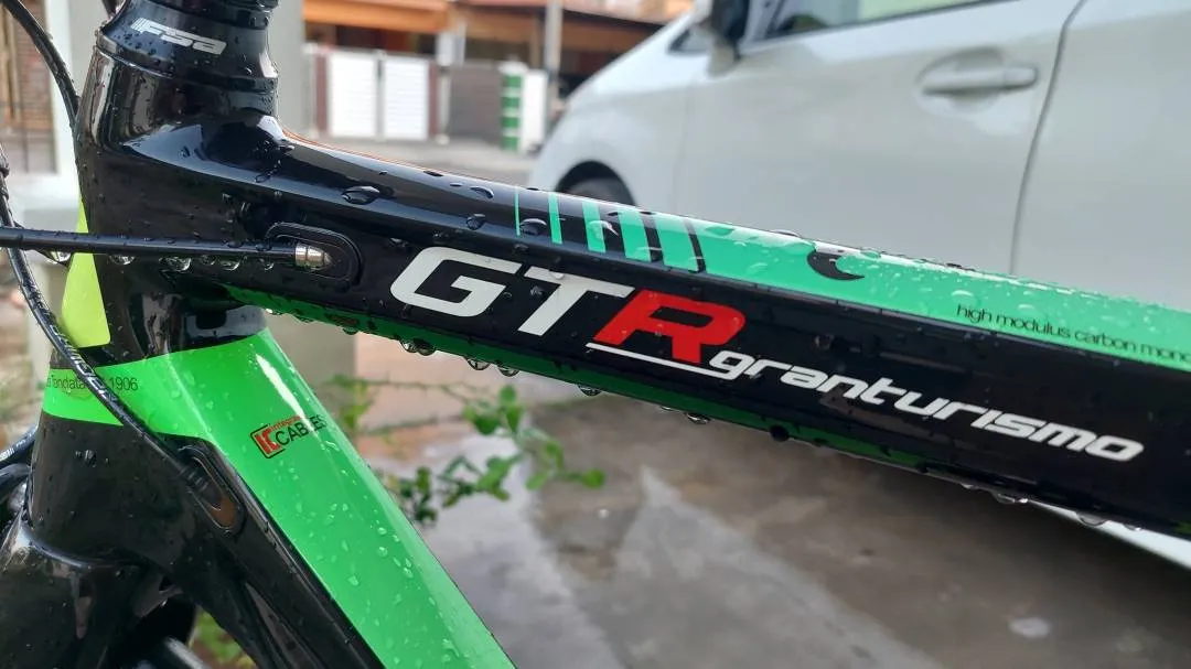 Willier triestina gtr