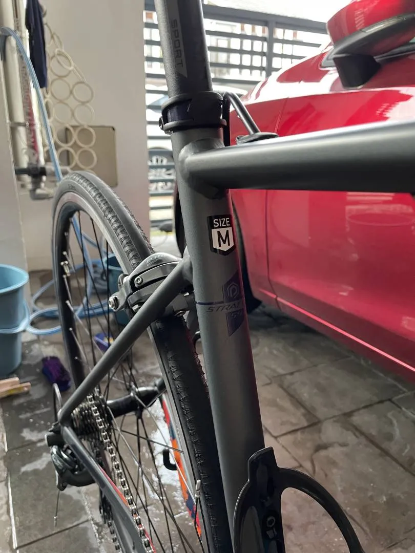 Polygon Strattos S4 2022