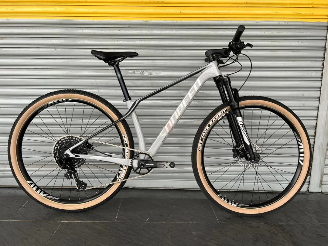 SUNPEED MTB CARBON 29