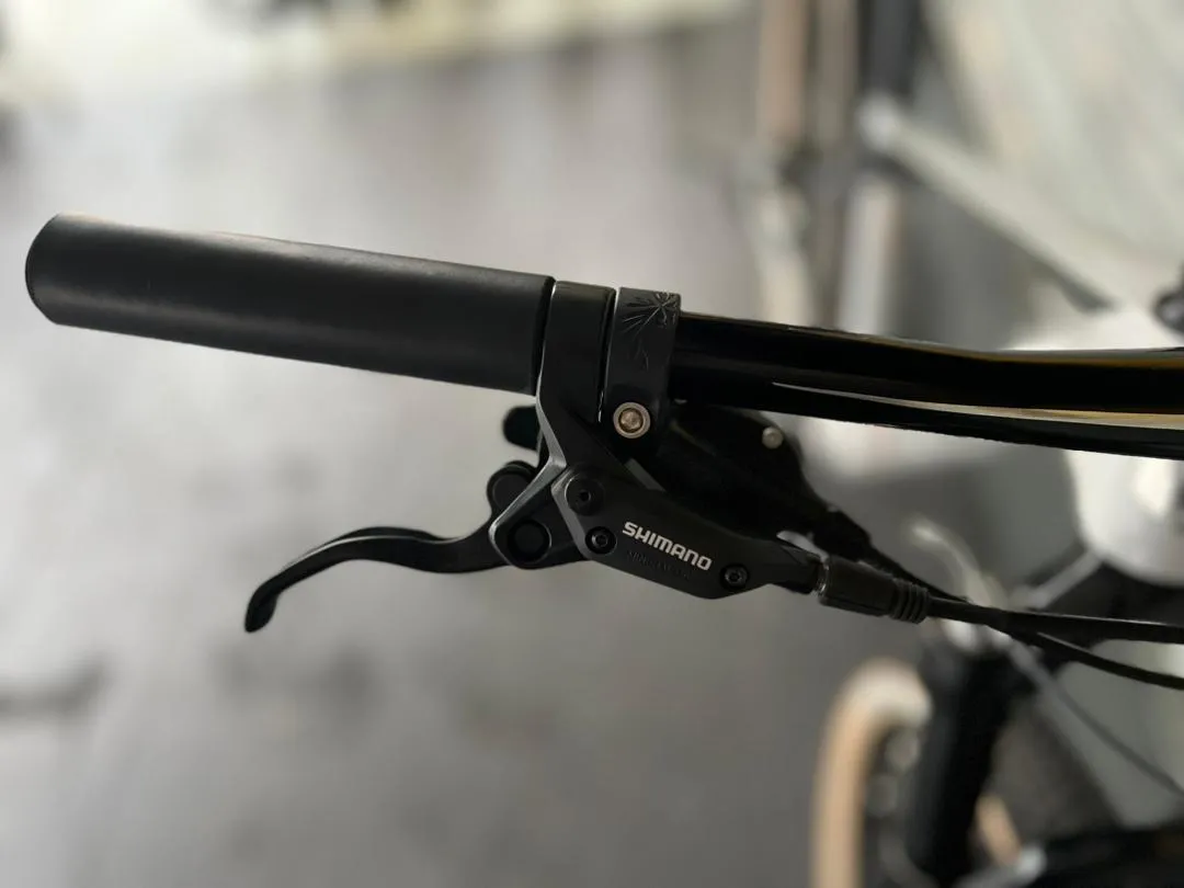 SUNPEED MTB CARBON 29