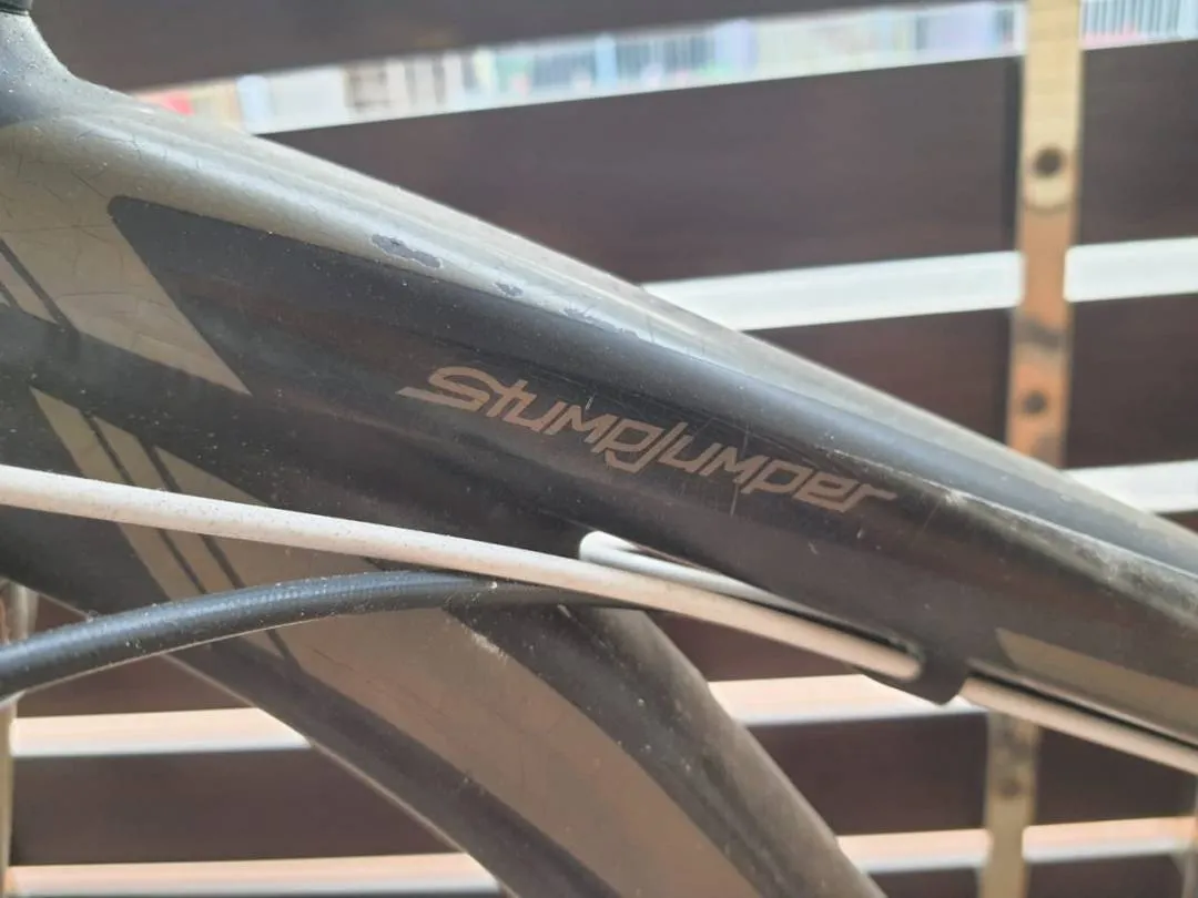 Specialized Stumpjumper