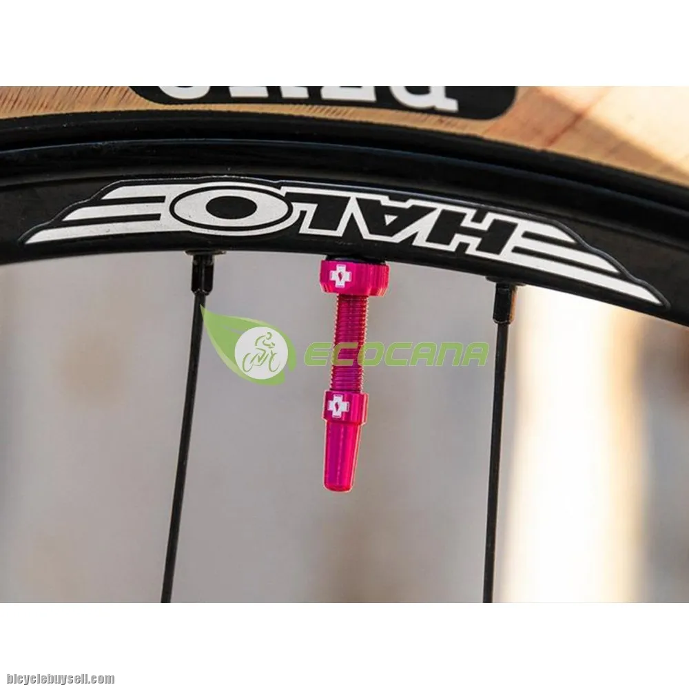 MUC-OFF TUBELESS VALVES