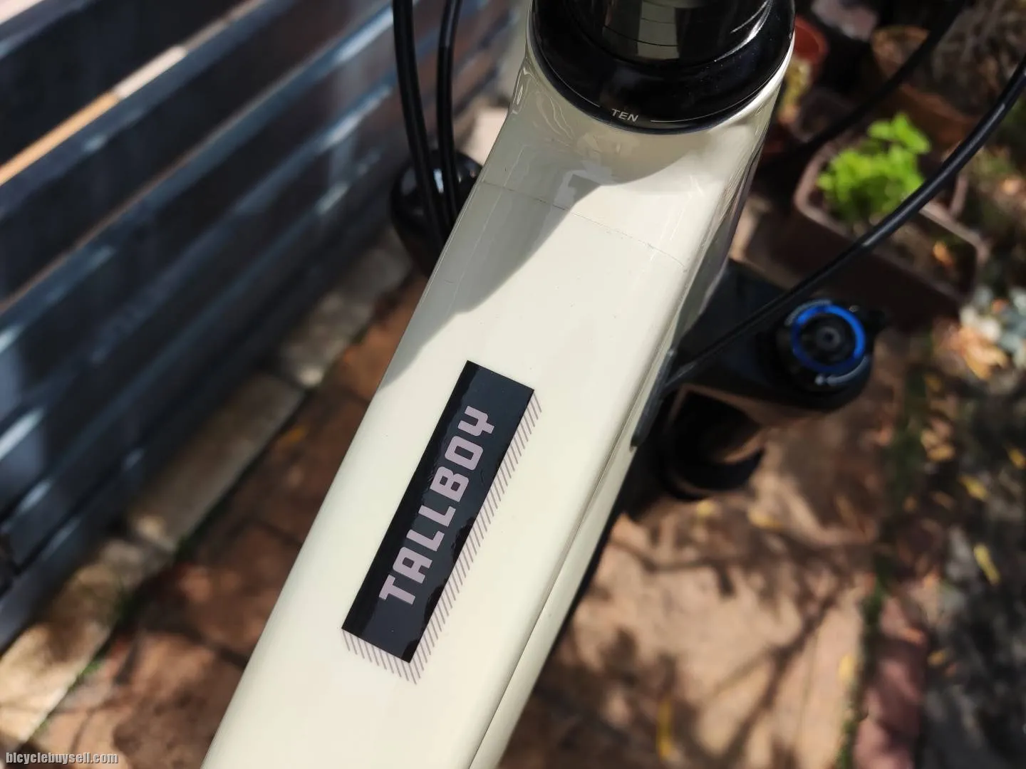 Santa Cruz Tallboy (m) 2021 - frame and fork option available