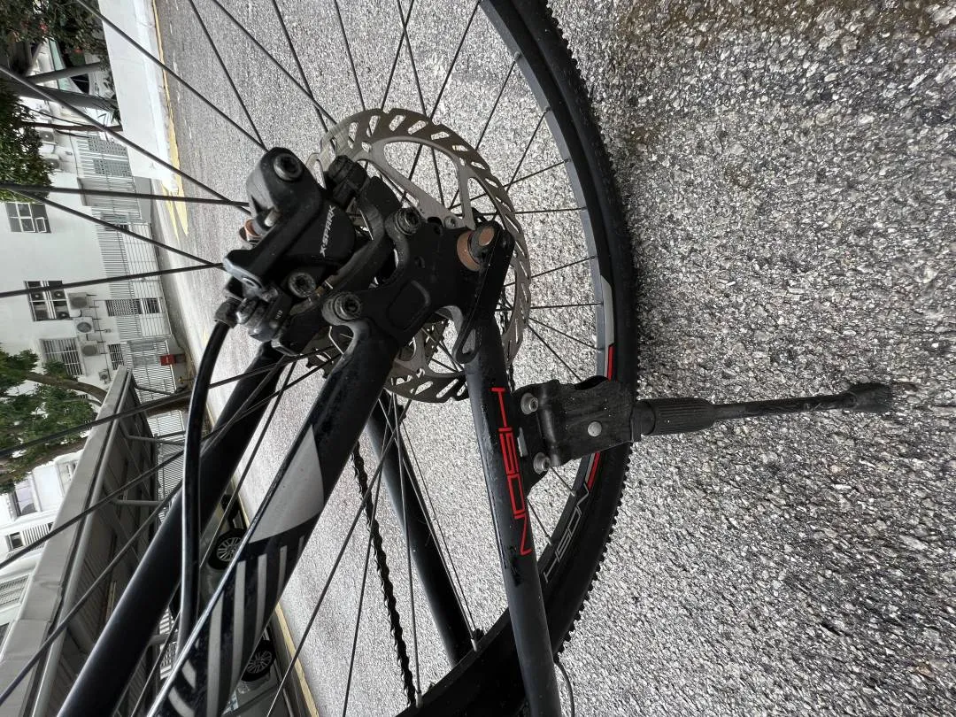 Nosh 27.5â€