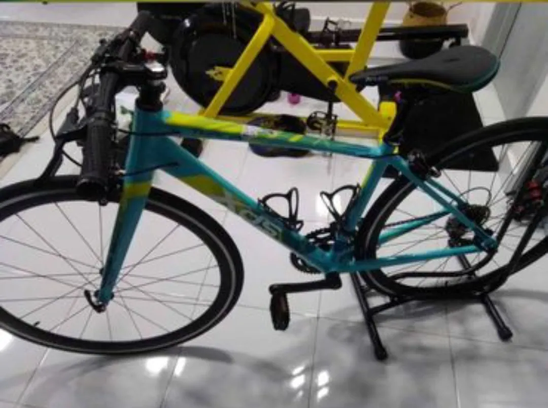 Roadbike Flatbar XDS Thalia 300