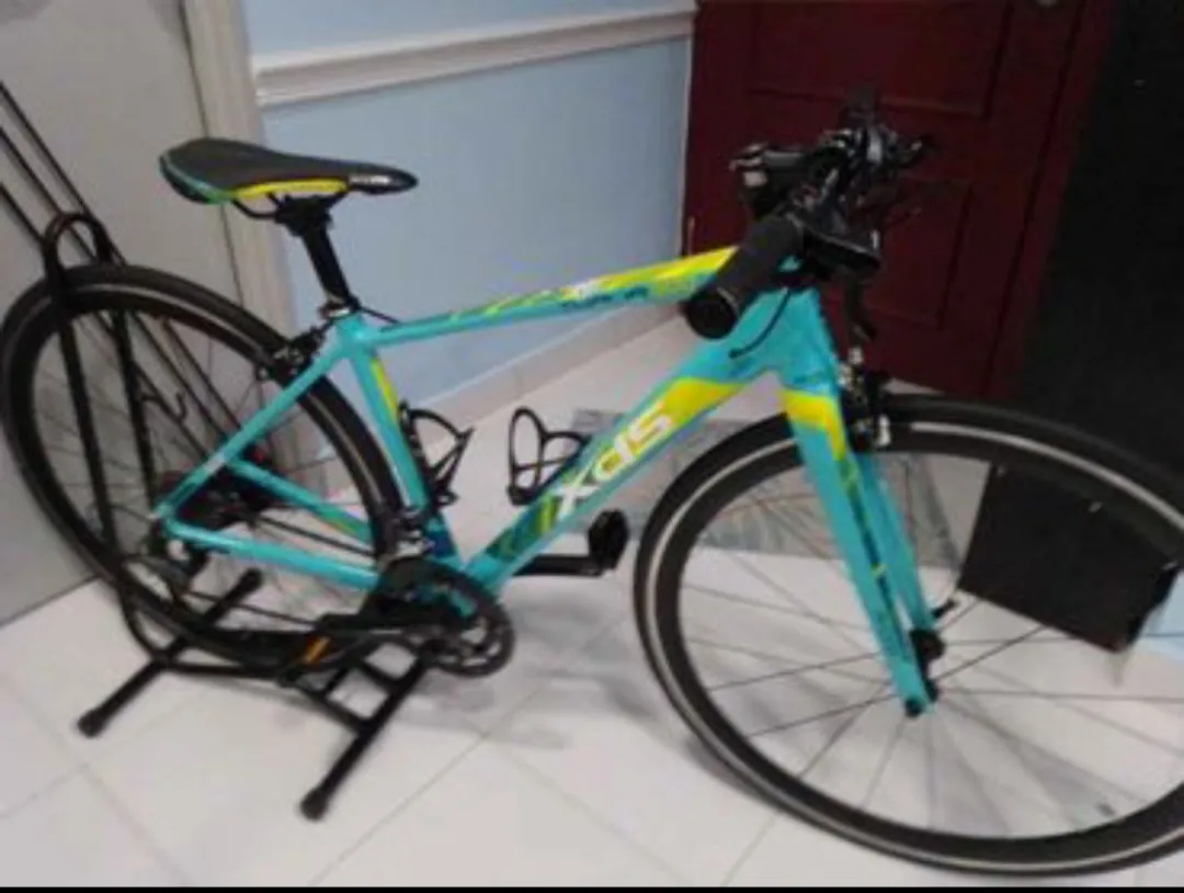 Roadbike Flatbar XDS Thalia 300