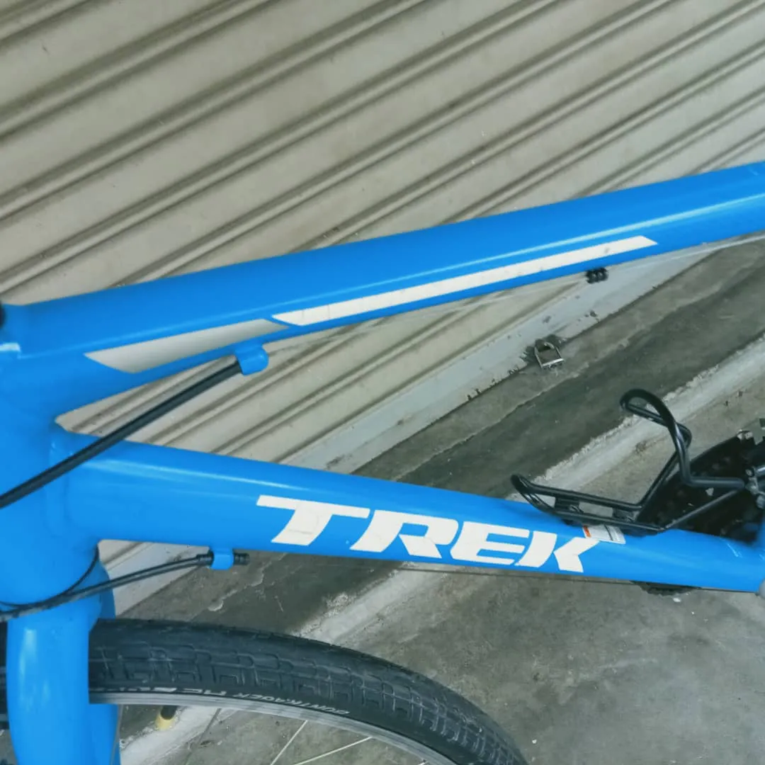 Trek FX1
