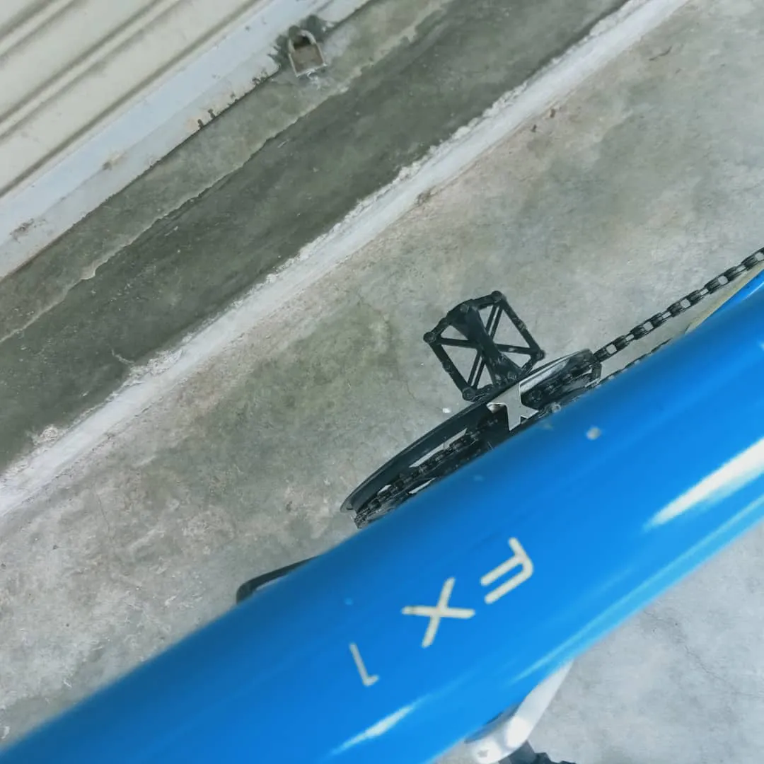 Trek FX1