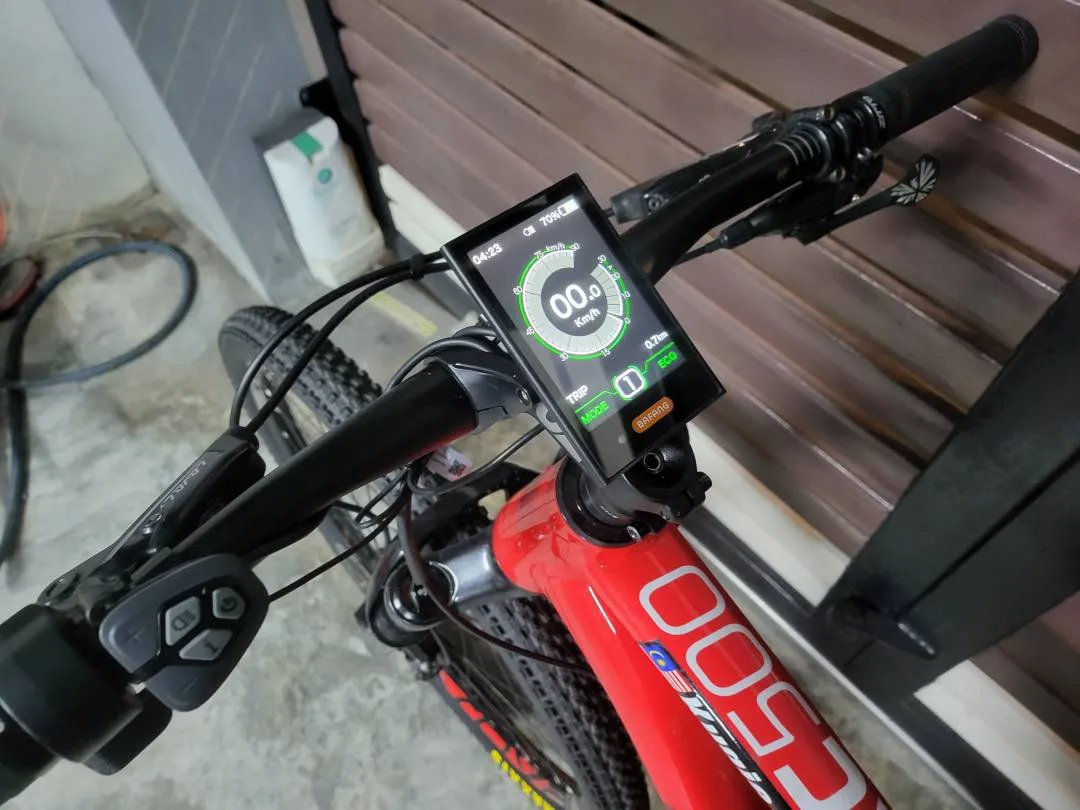 Mountain Bike E-Bike Bicycle Custom