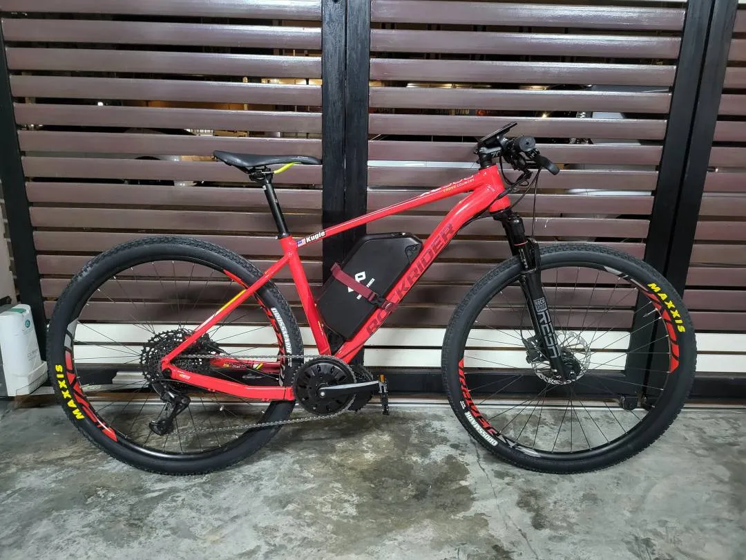 Mountain Bike E-Bike Bicycle Custom