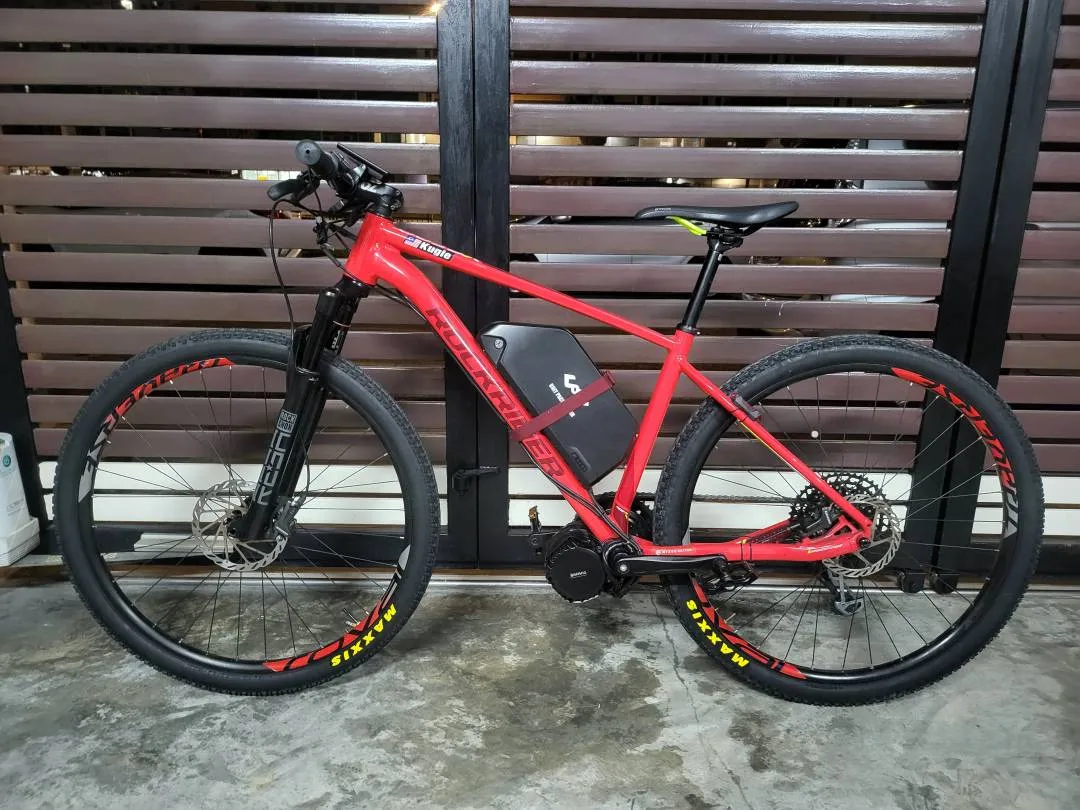 Mountain Bike E-Bike Bicycle Custom