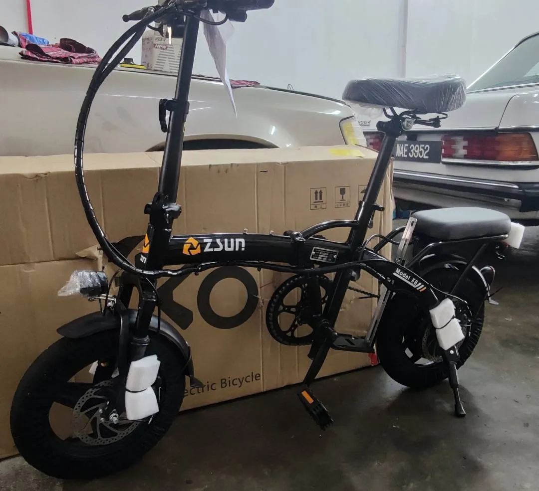 Z&amp;Sun New E-Bike