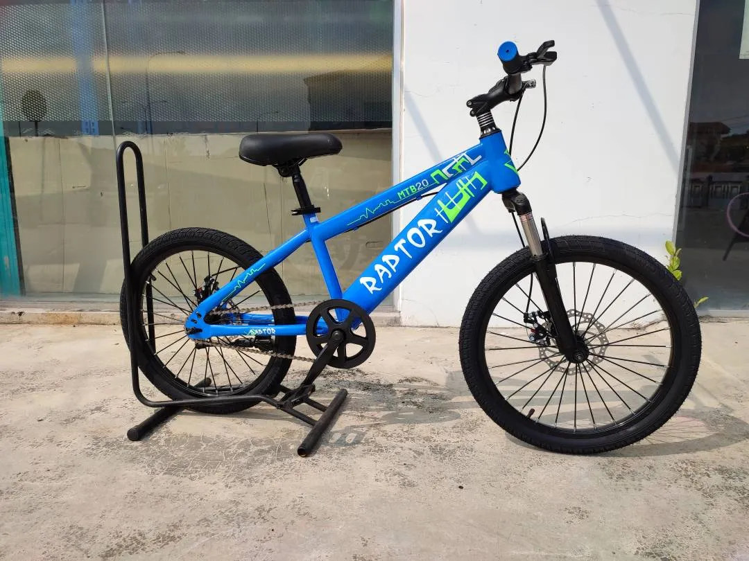 20 inch kids bike