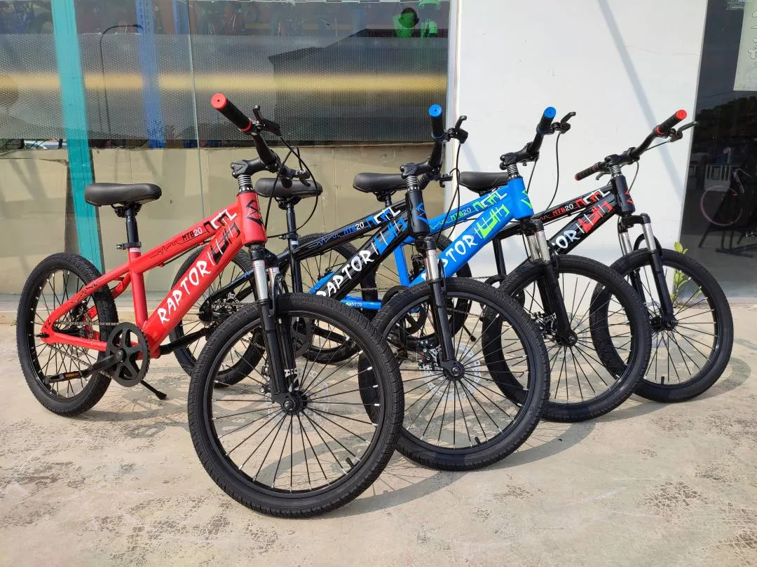 20 inch kids bike