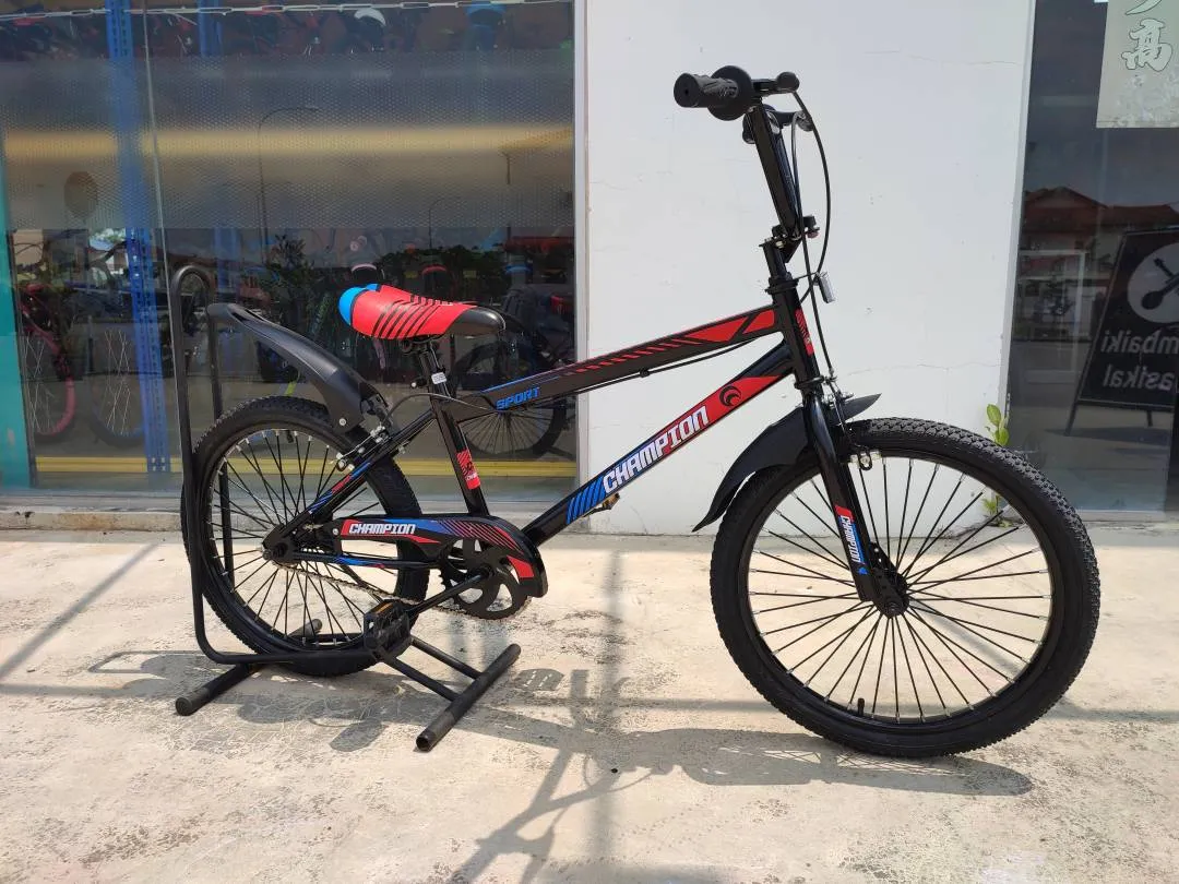 20 inch BMX