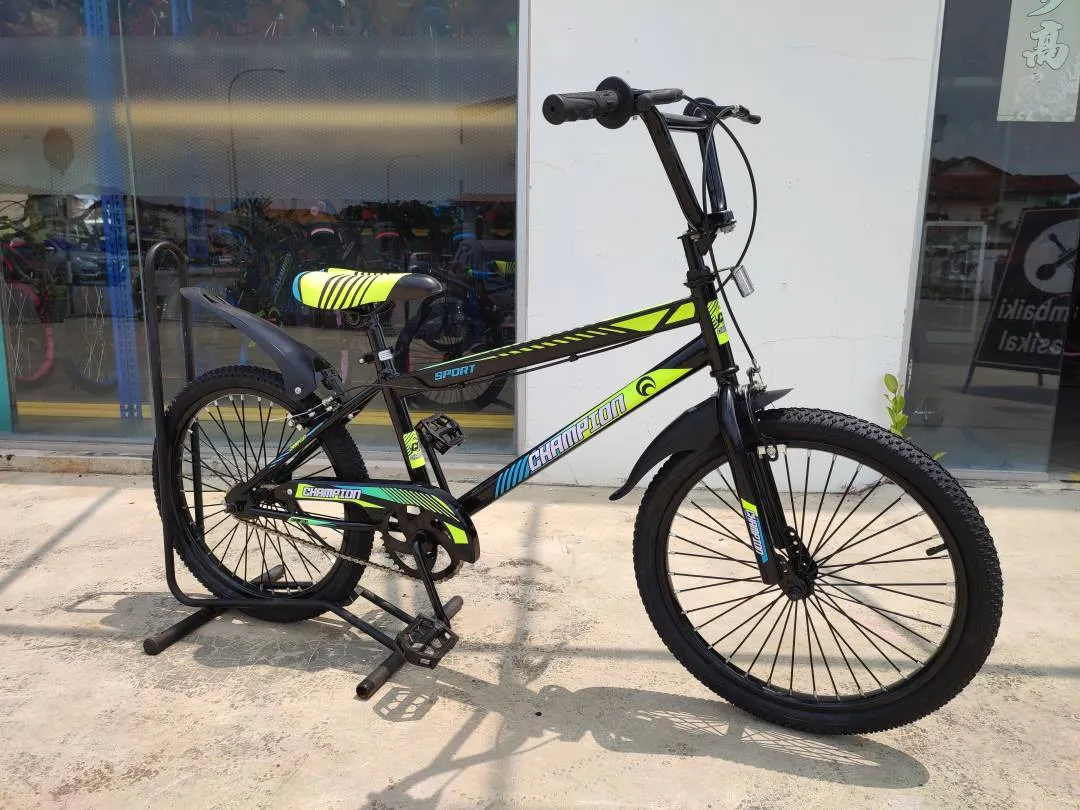 20 inch BMX