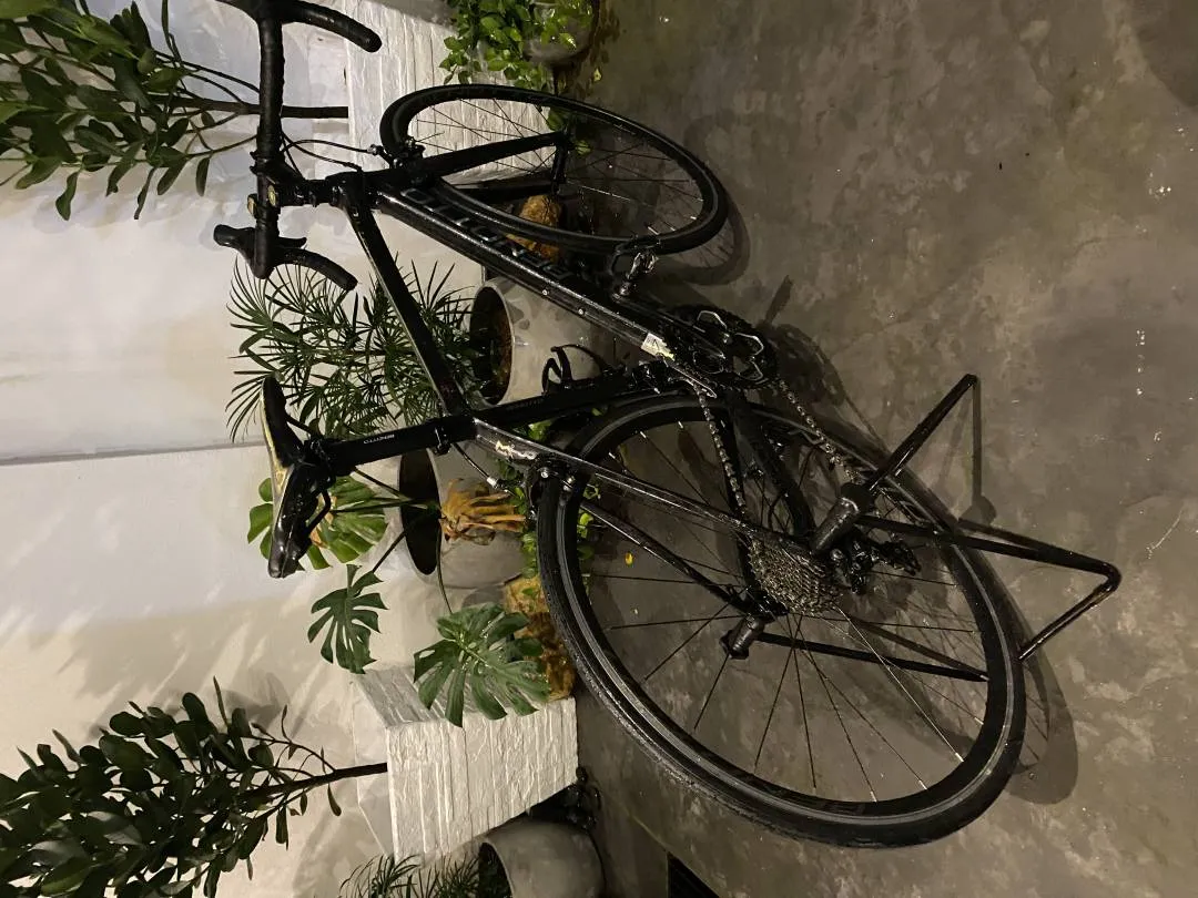 BENOTTO R100 (Great for Beginners)