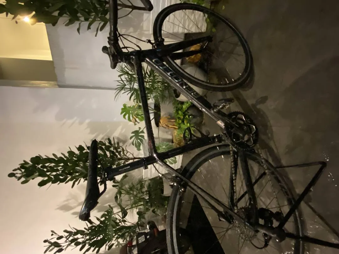 BENOTTO R100 (Great for Beginners)