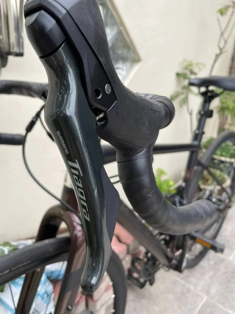 2022 Marin Gestalt 2.5