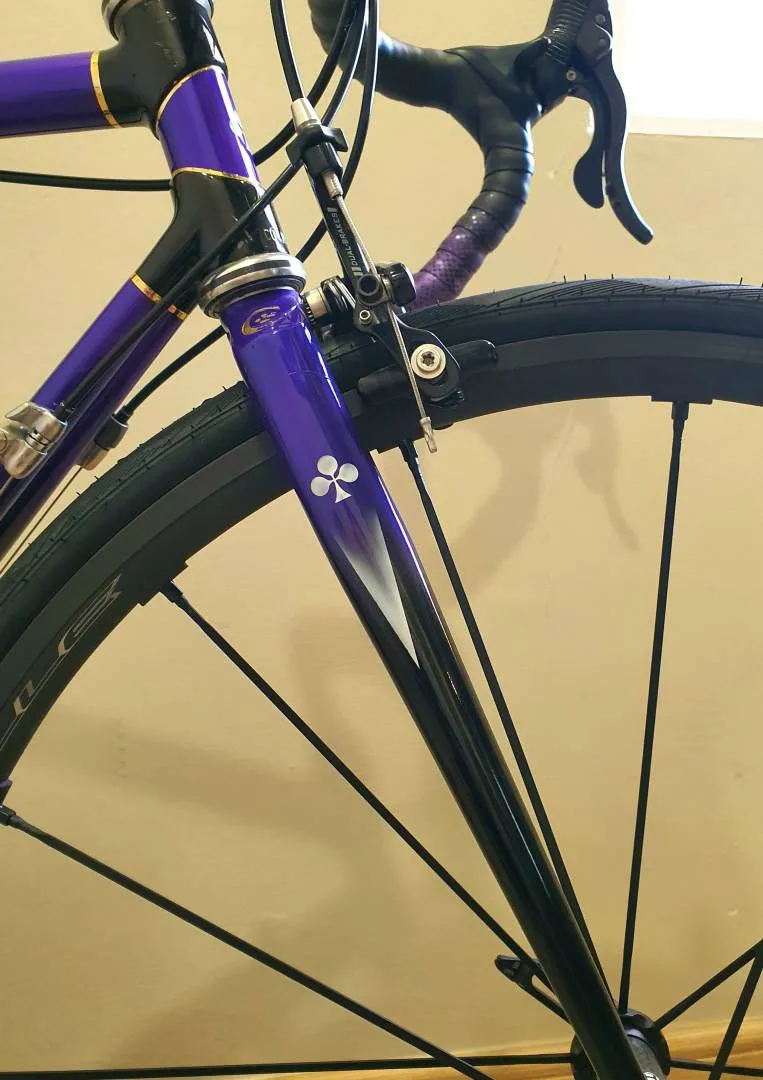 Colnago Carbitubo Classic Road Bike