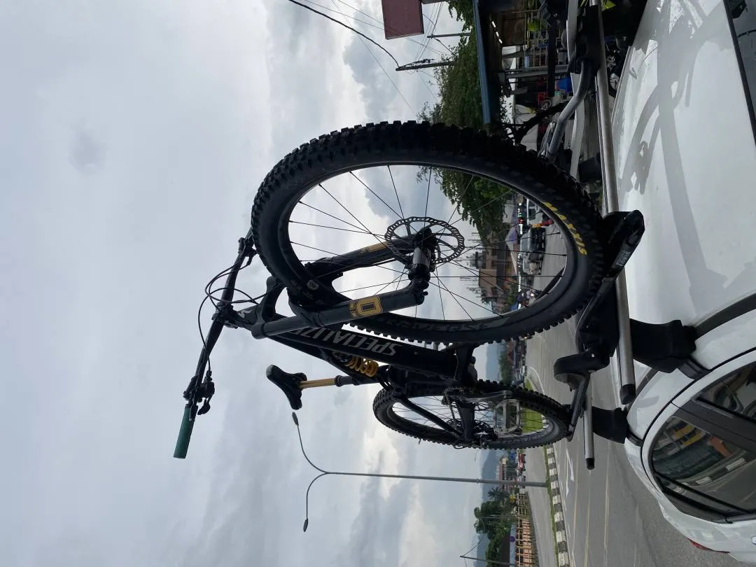 Specialized Enduro Elite Carbon 29