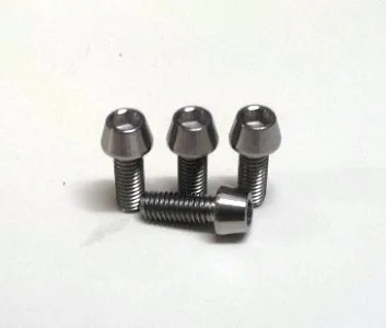 Stock Clearance! 2 pcs TITANIUM TI Bolt M6 x 20mm for Disc Brake Caliper to Adaptor