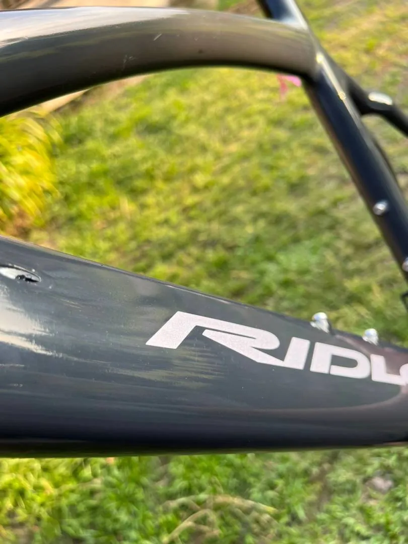 Frameset or fullbike Ridley Noah RS