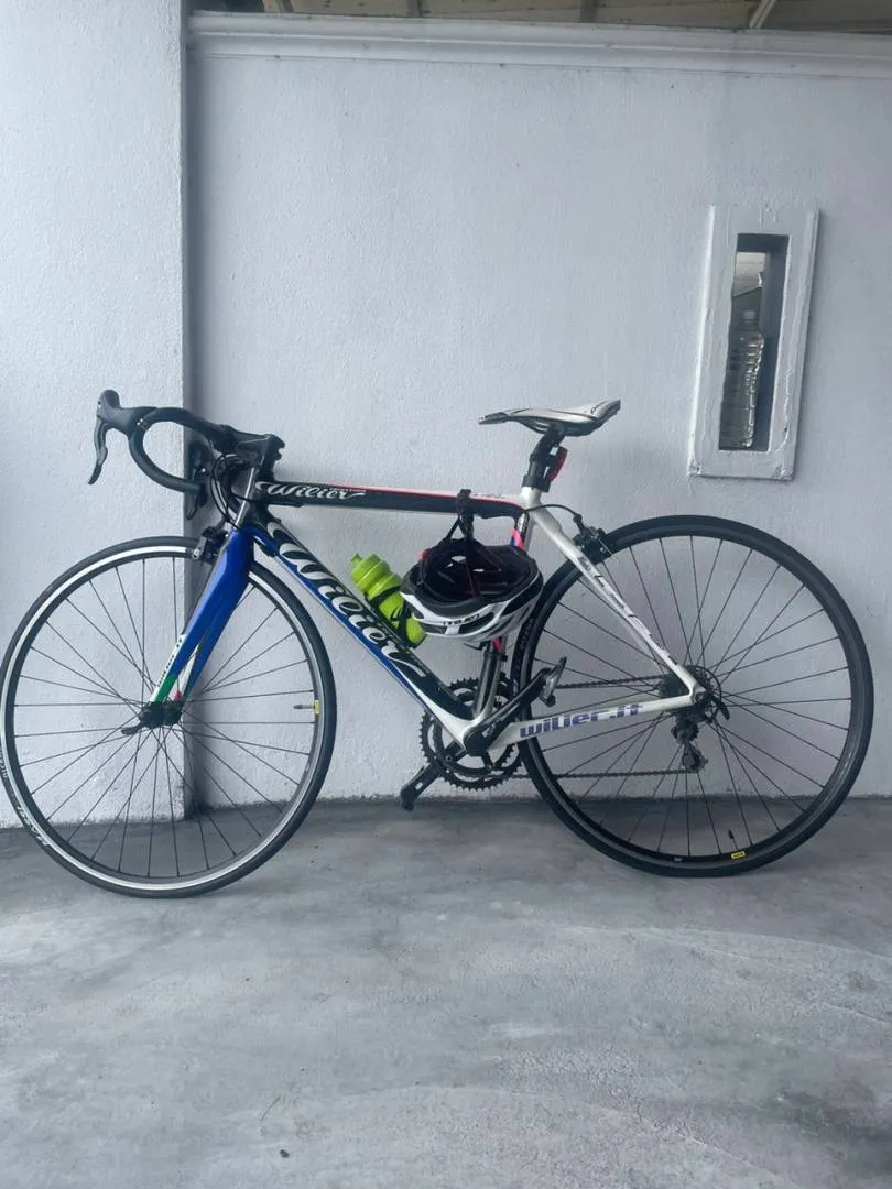 willier triestina le roi
