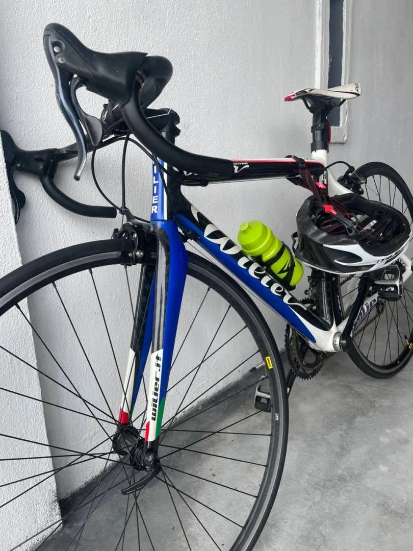 willier triestina le roi