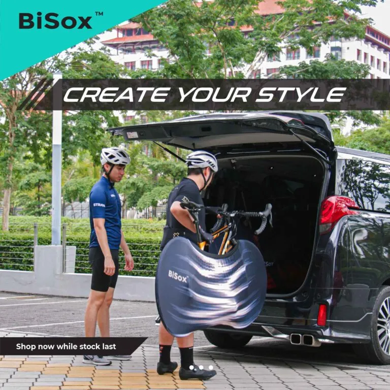 BISOX Bicycle Cover