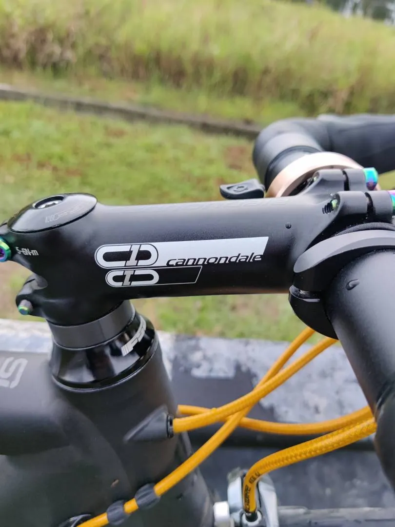 Cannondale Caad10 Size 54