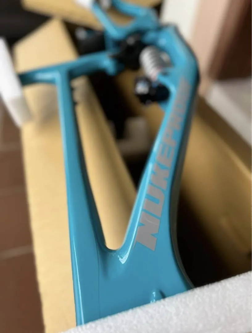 Nukeproof Giga 297 Carbon Frame (Push) - Teal XXL