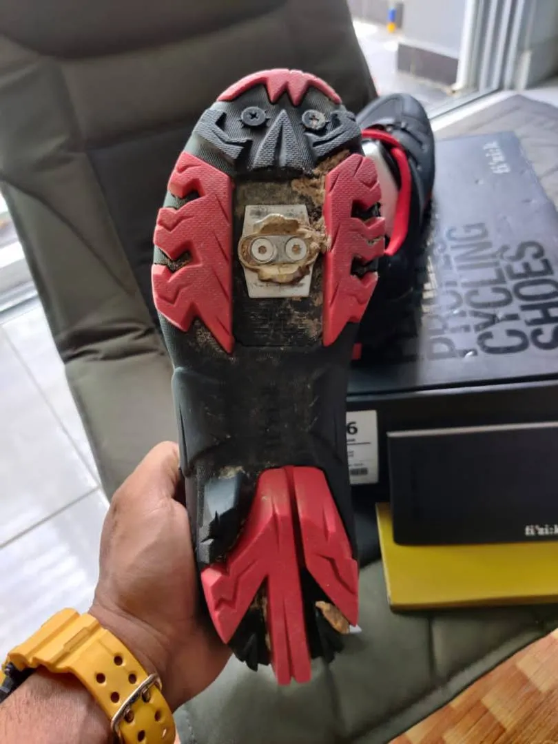 Fizik boa