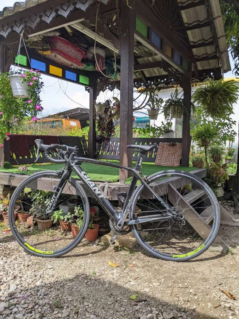 Giant TCR