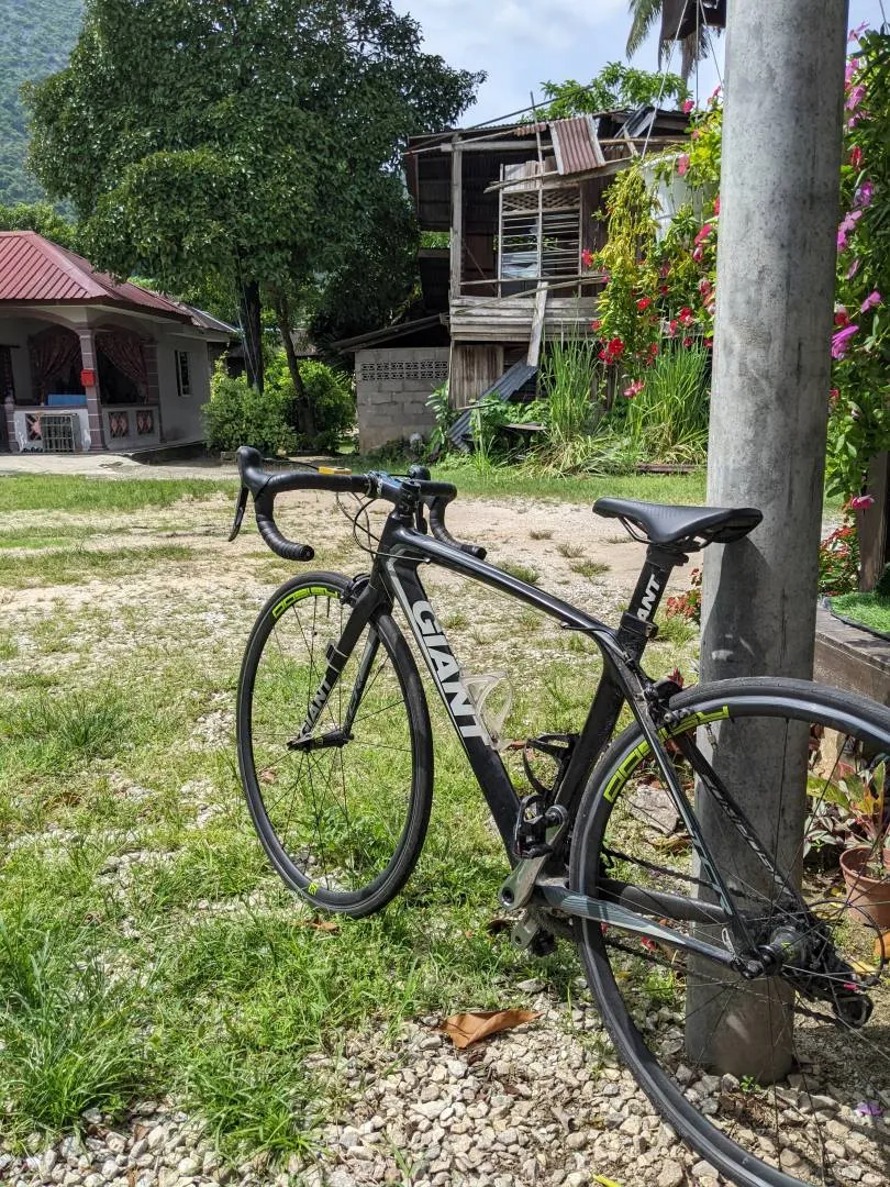 Giant TCR