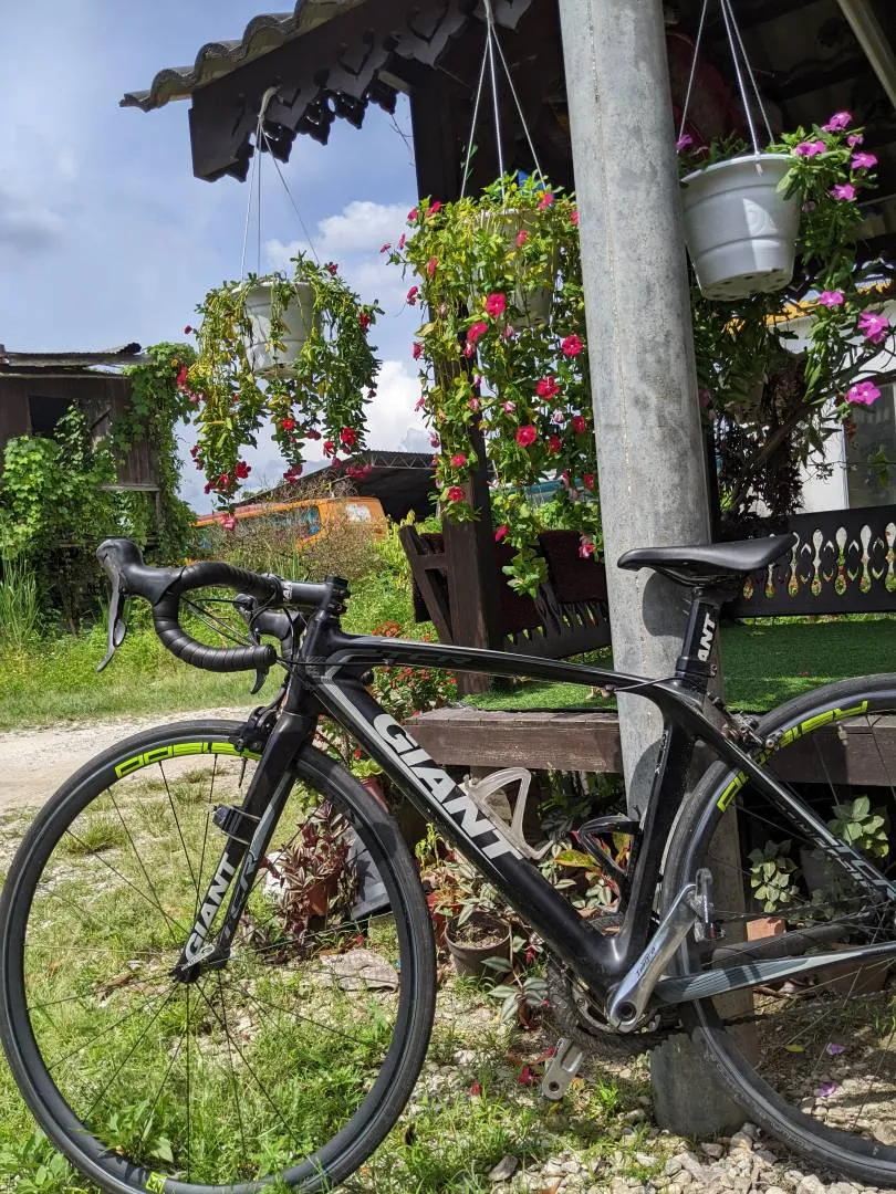 Giant TCR