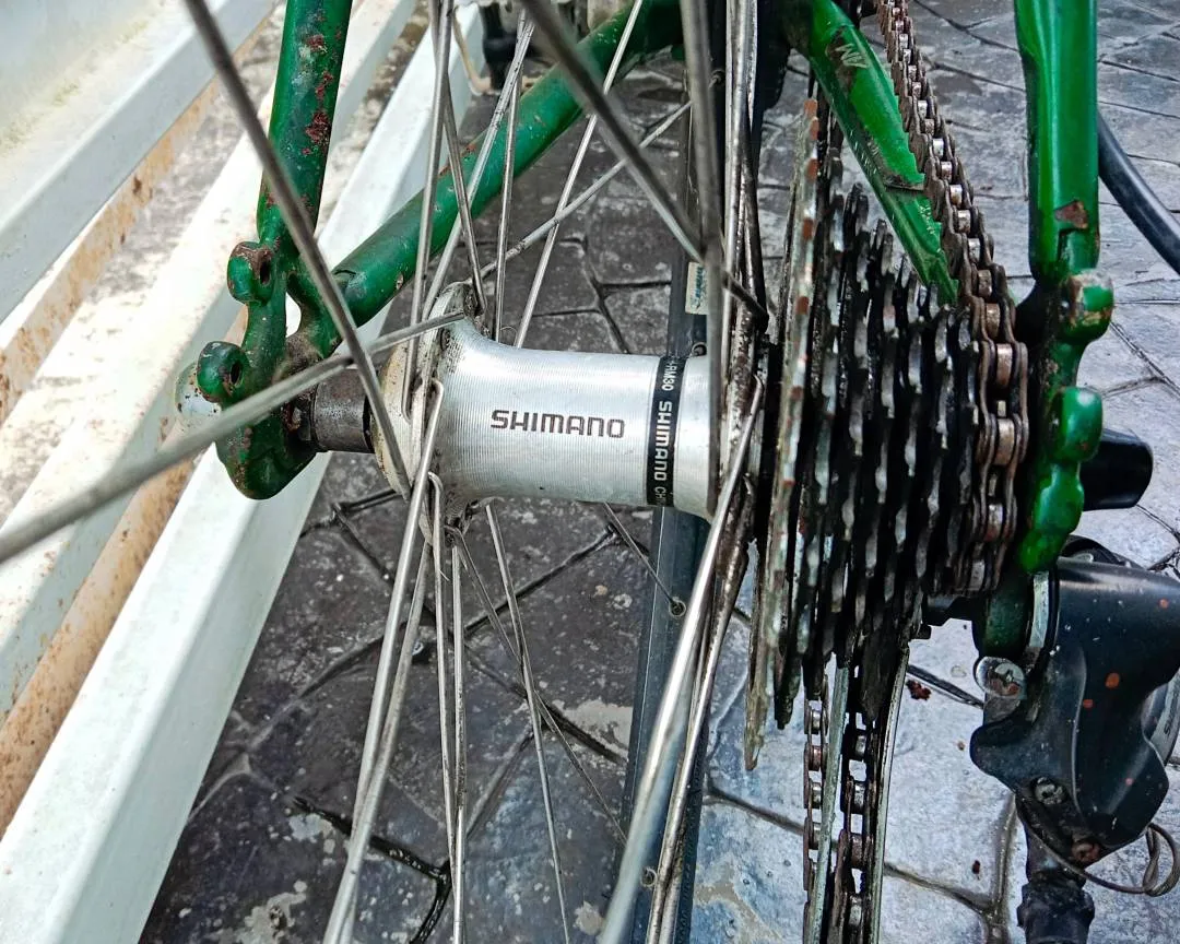 Fuji Touring Bike