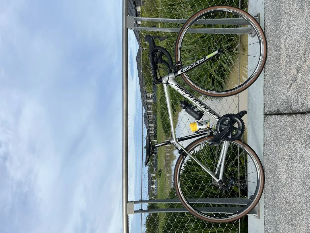 Cannondale CAAD12 Size 44