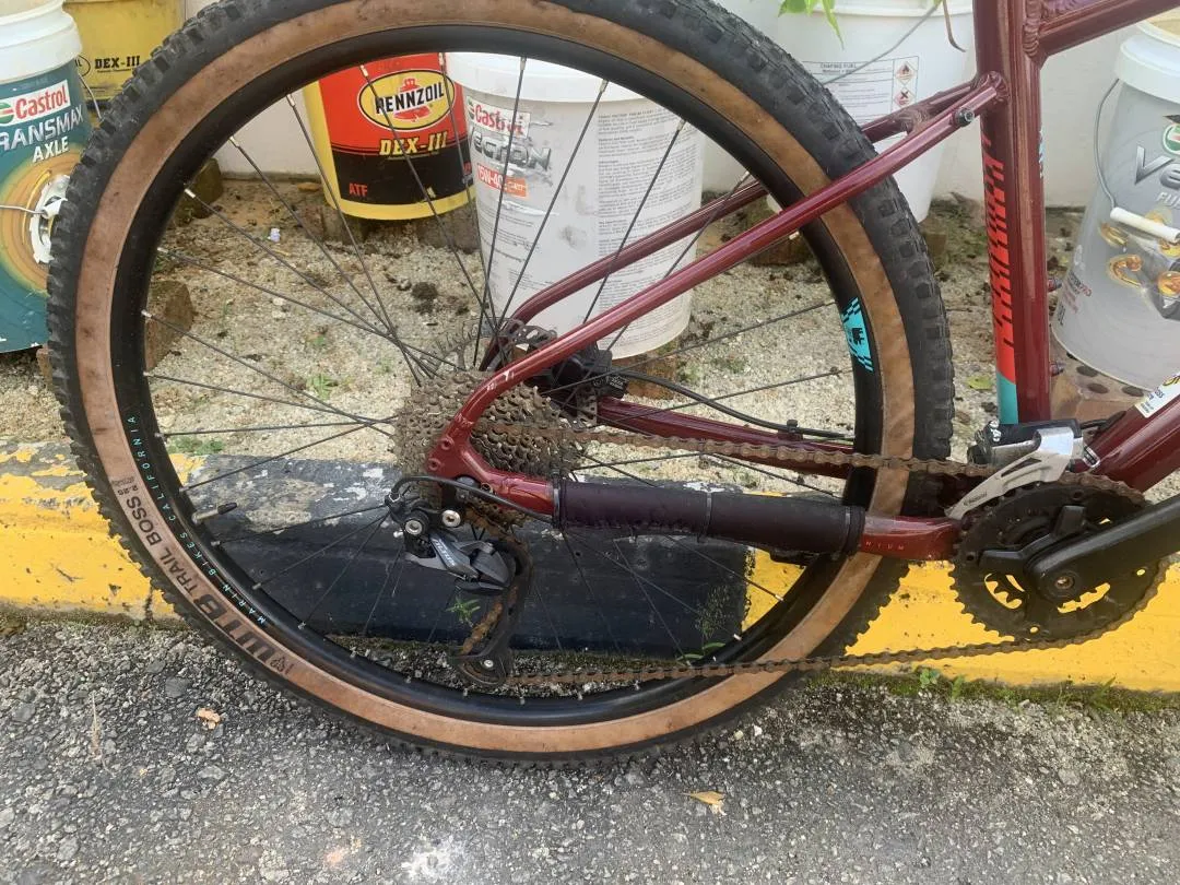 Marin Bobcat Trail 4 2020