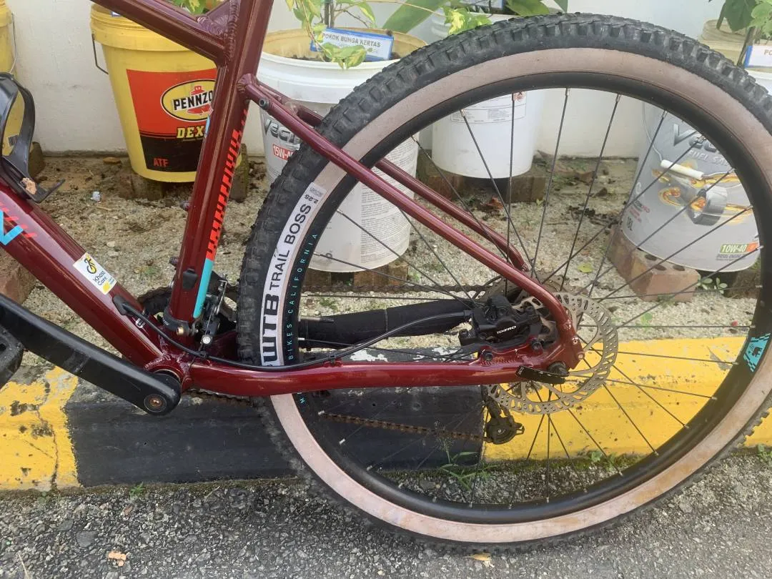 Marin Bobcat Trail 4 2020