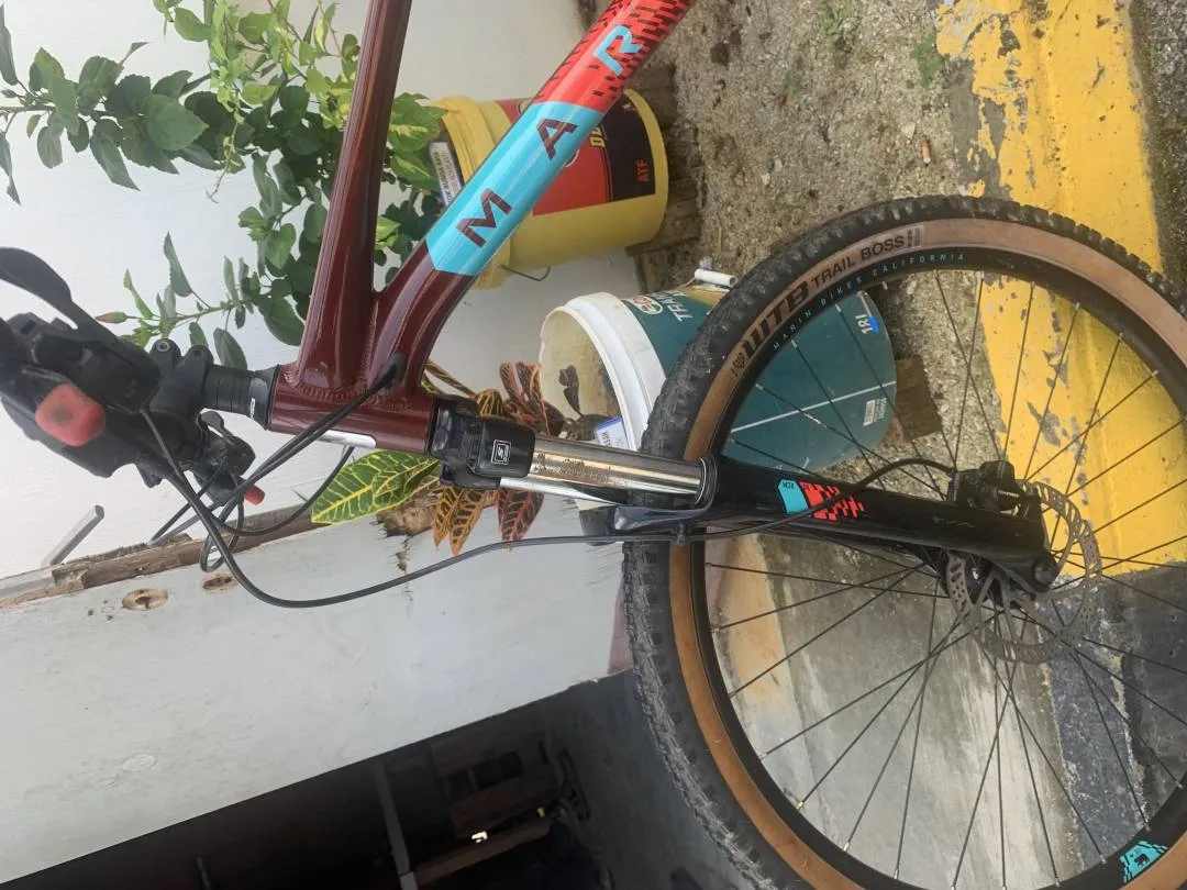 Marin Bobcat Trail 4 2020