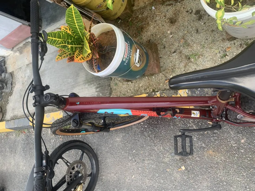 Marin Bobcat Trail 4 2020