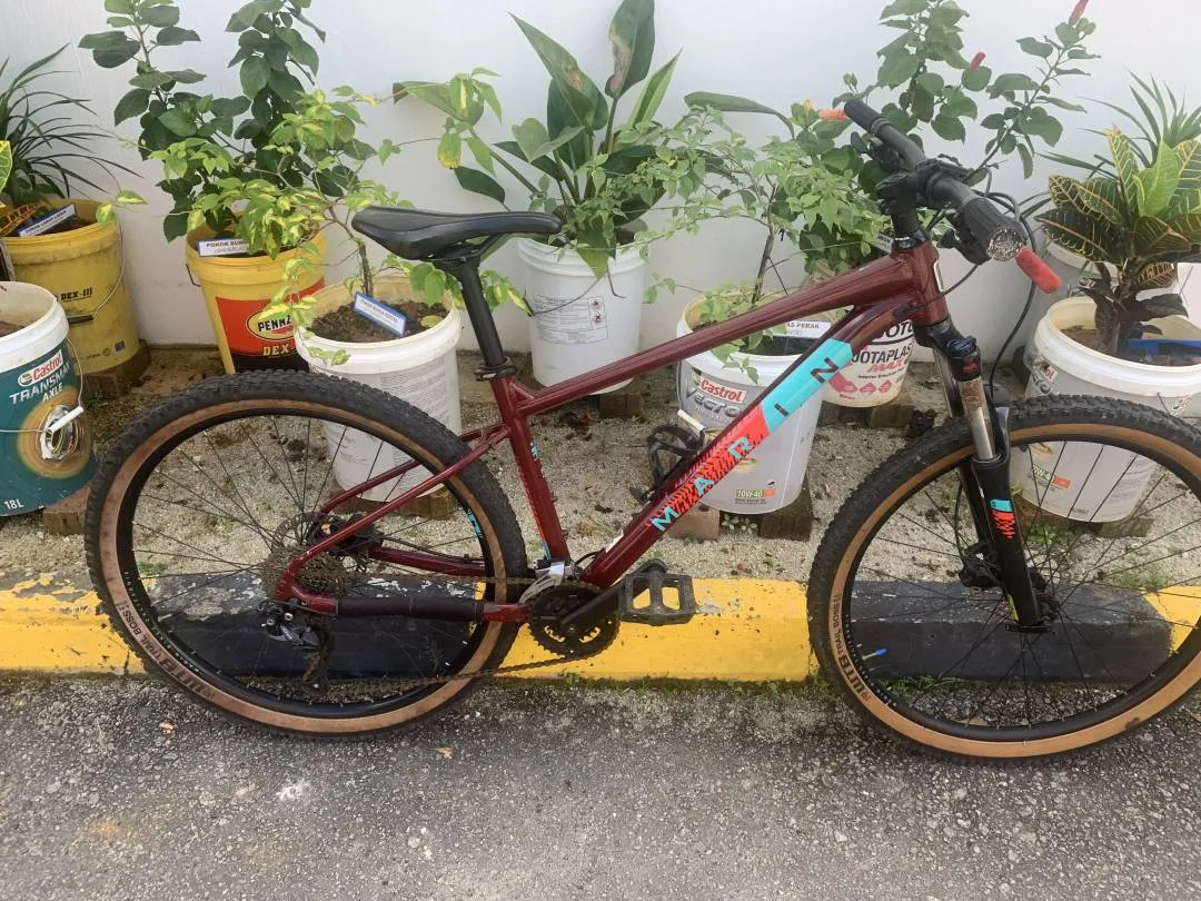 Marin Bobcat Trail 4 2020