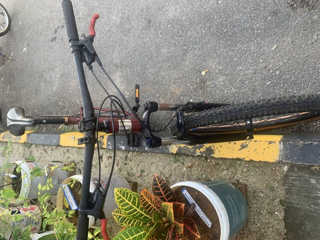 Marin Bobcat Trail 4 2020
