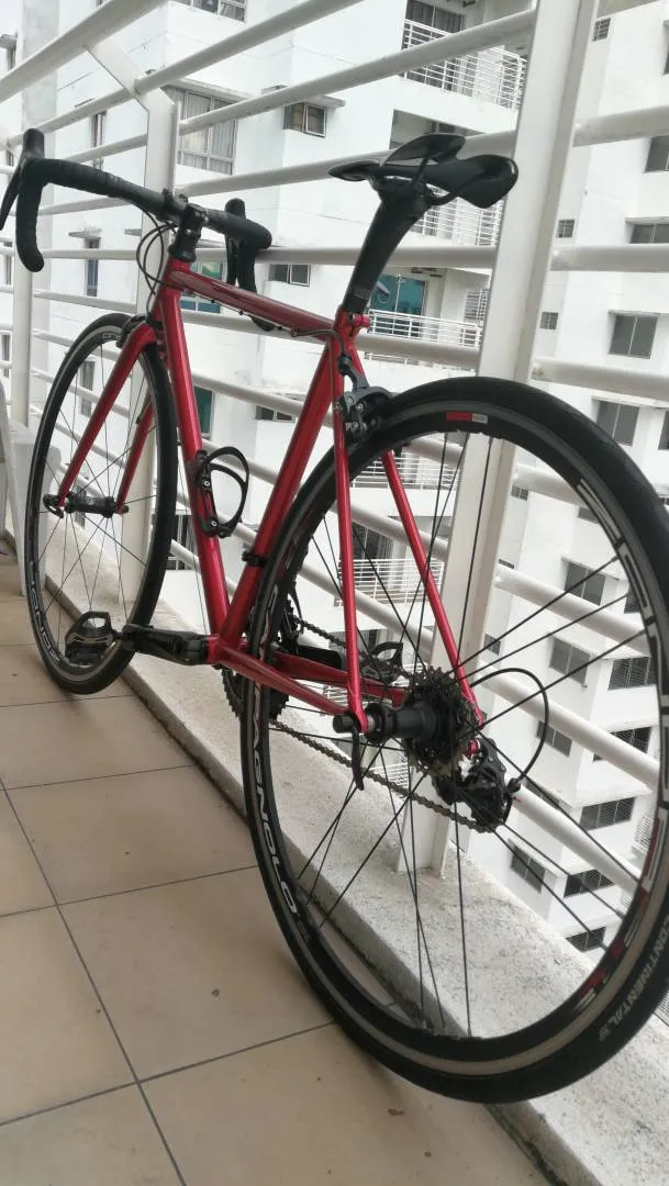 Tsunami Vintage Steel Bike (used)