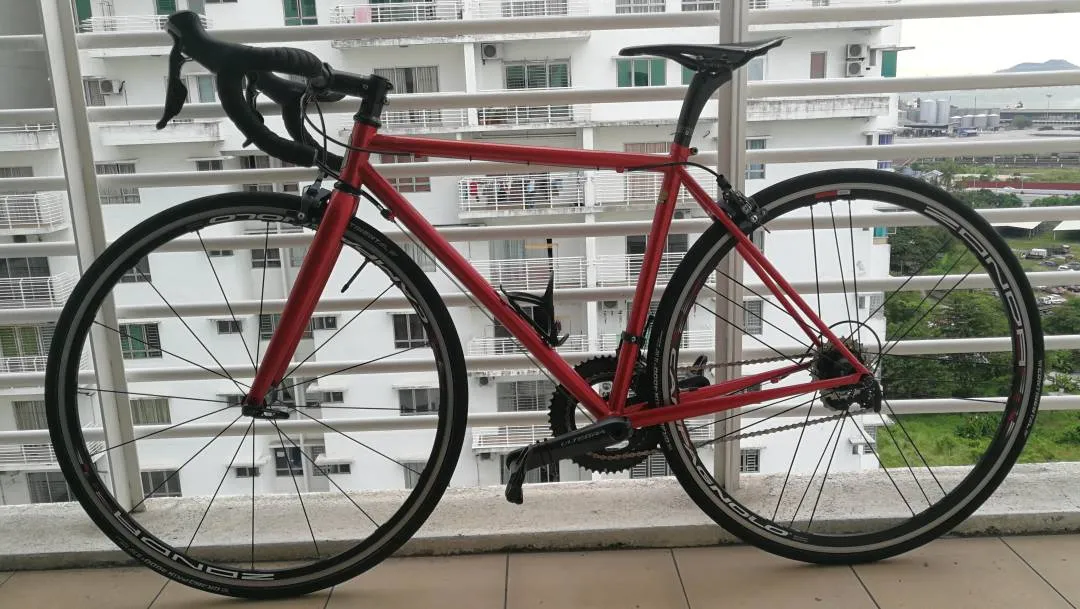 Tsunami Vintage Steel Bike (used)