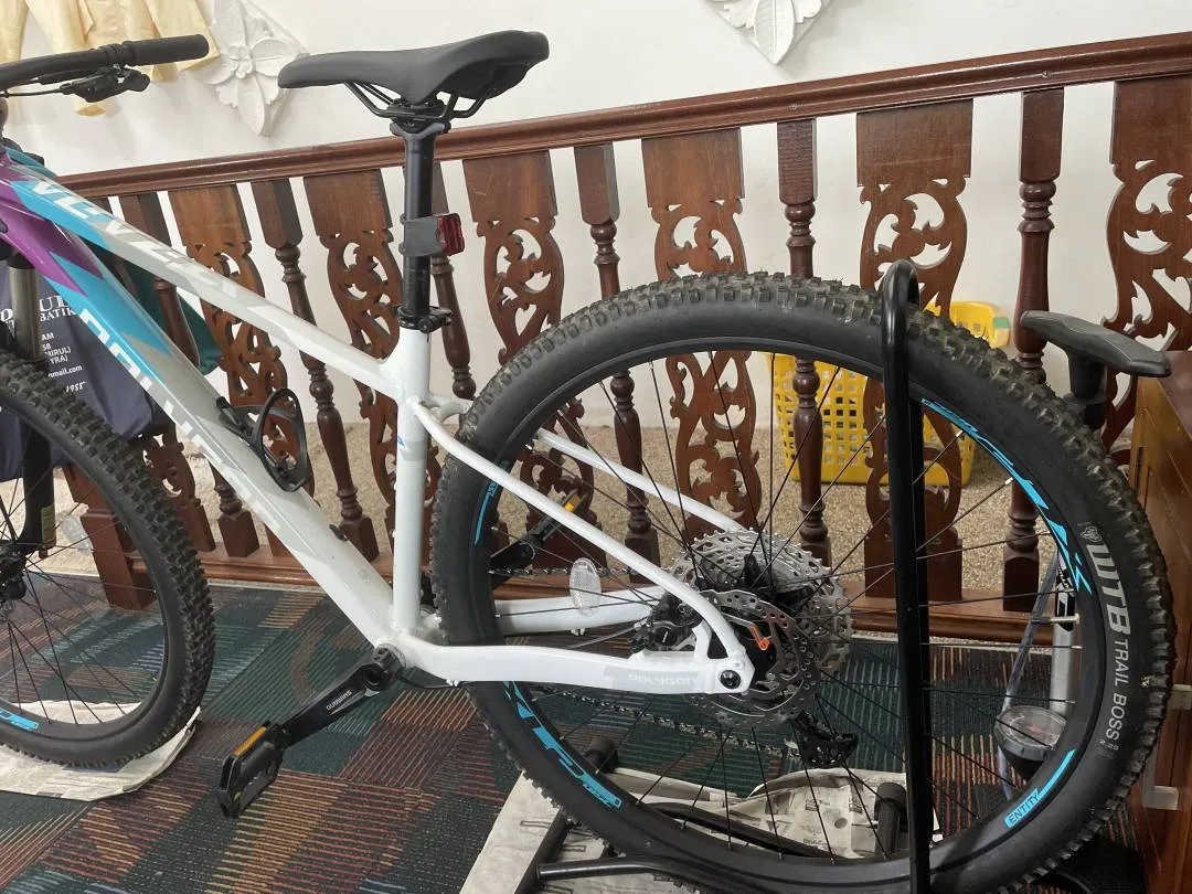 Mountain Bike 2022 Polygon Xtrada 7