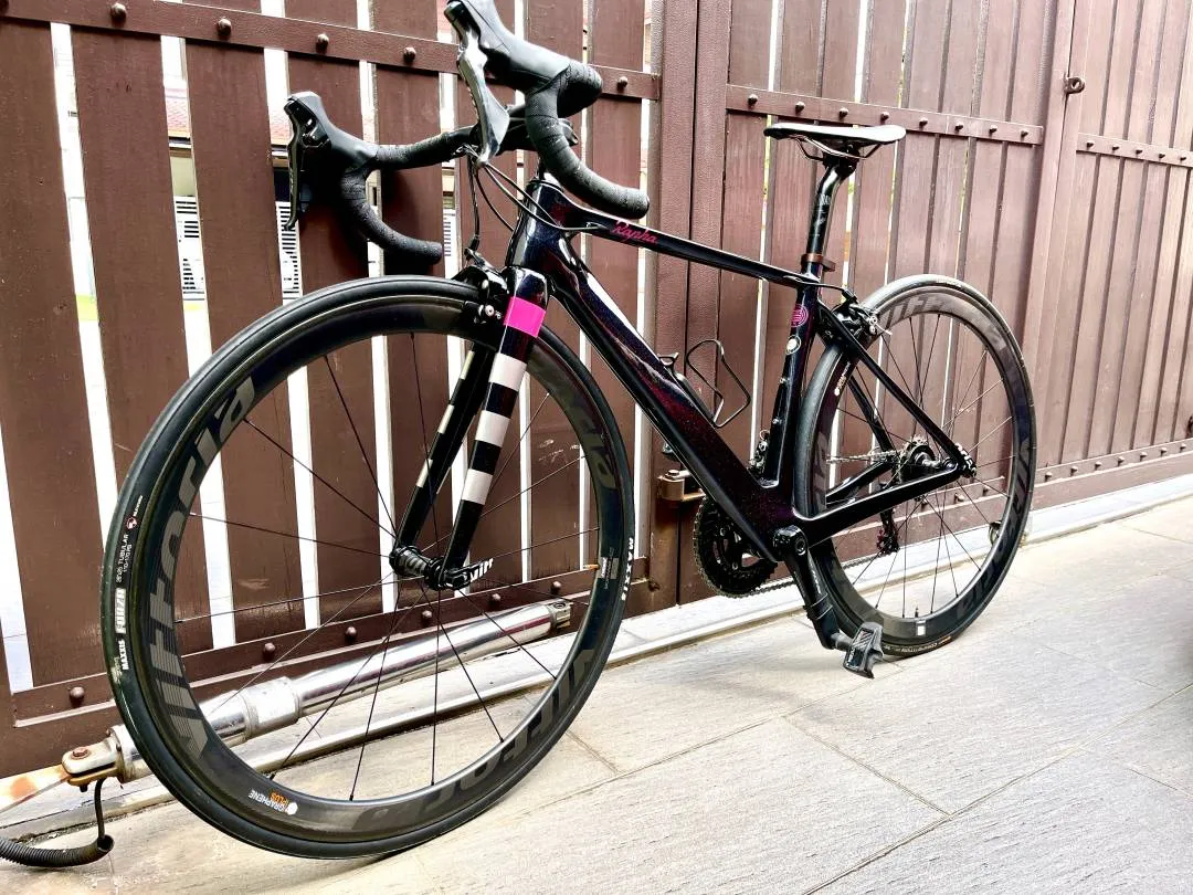 Carbon Roadbike Rapha Style