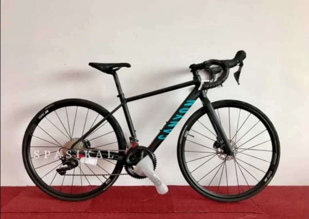 CANYON ENDURANCE AL